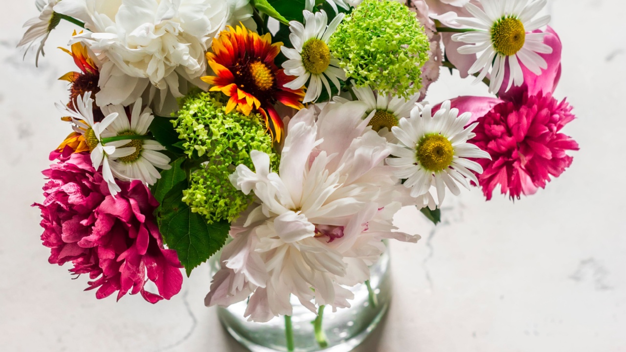 Variety of summer flowers - peonies, hydrangeas, daisies, carnations bouquet on a stone light background, top view.