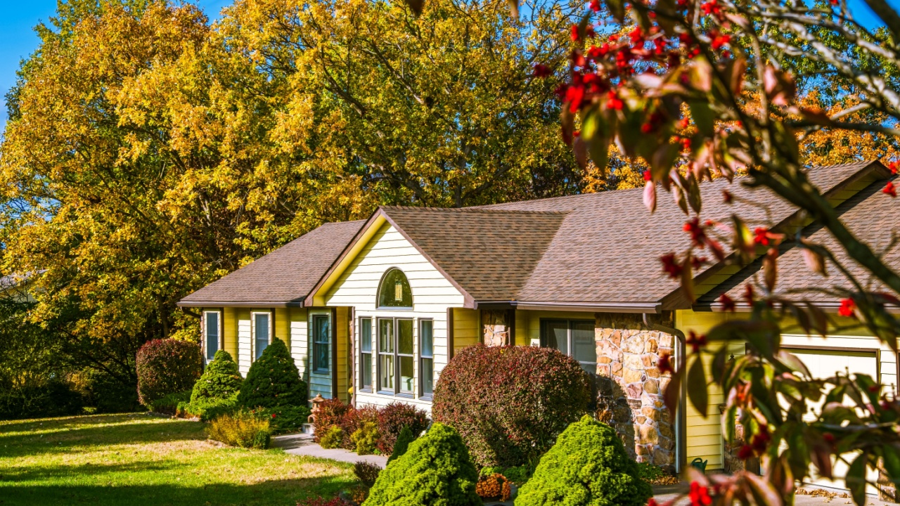 View of typical Midwestern house in fall in late afternoon; red seeds of dogwood tree on foreground; blue sky and trees with fall leaves