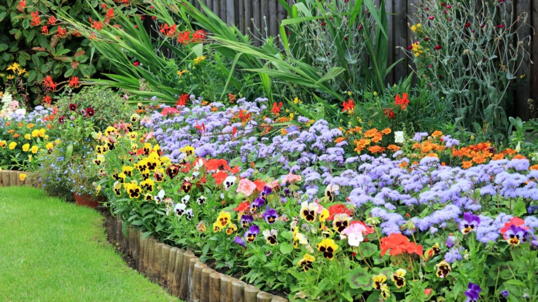 12 Tips For Starting A Flower Garden From Scratch
