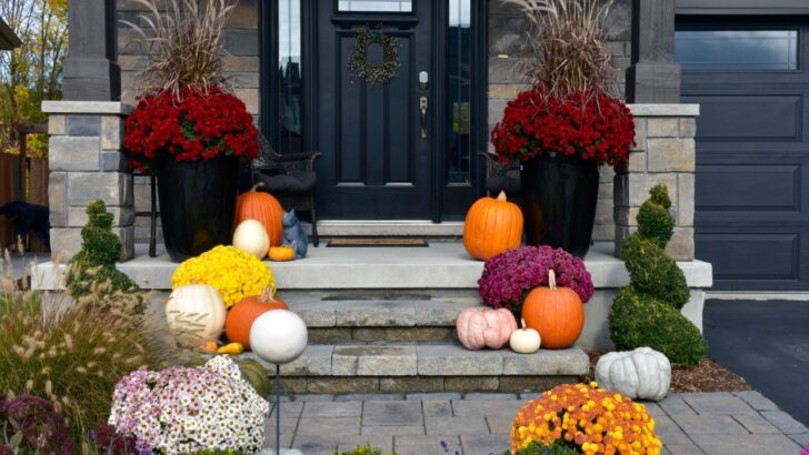 18 Top Fall Flowers for Containers to Brighten Your Porch