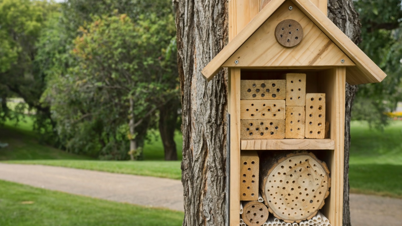 solitary bee house hand made summer dat