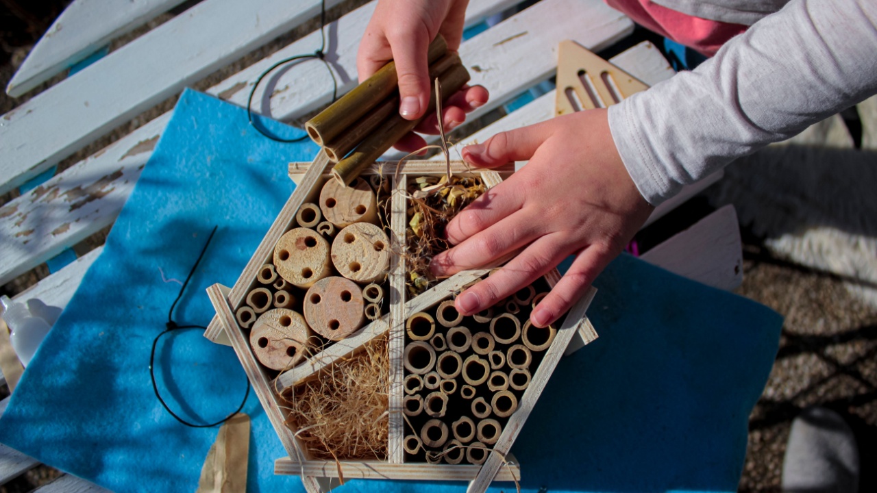 A child builds an insect hotel with different possibilities for nesting.