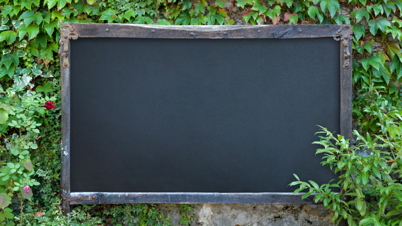 Outdoor rustic chalkboard on stone wall with lots of green plants around. Blank surface for promo menu text presentation