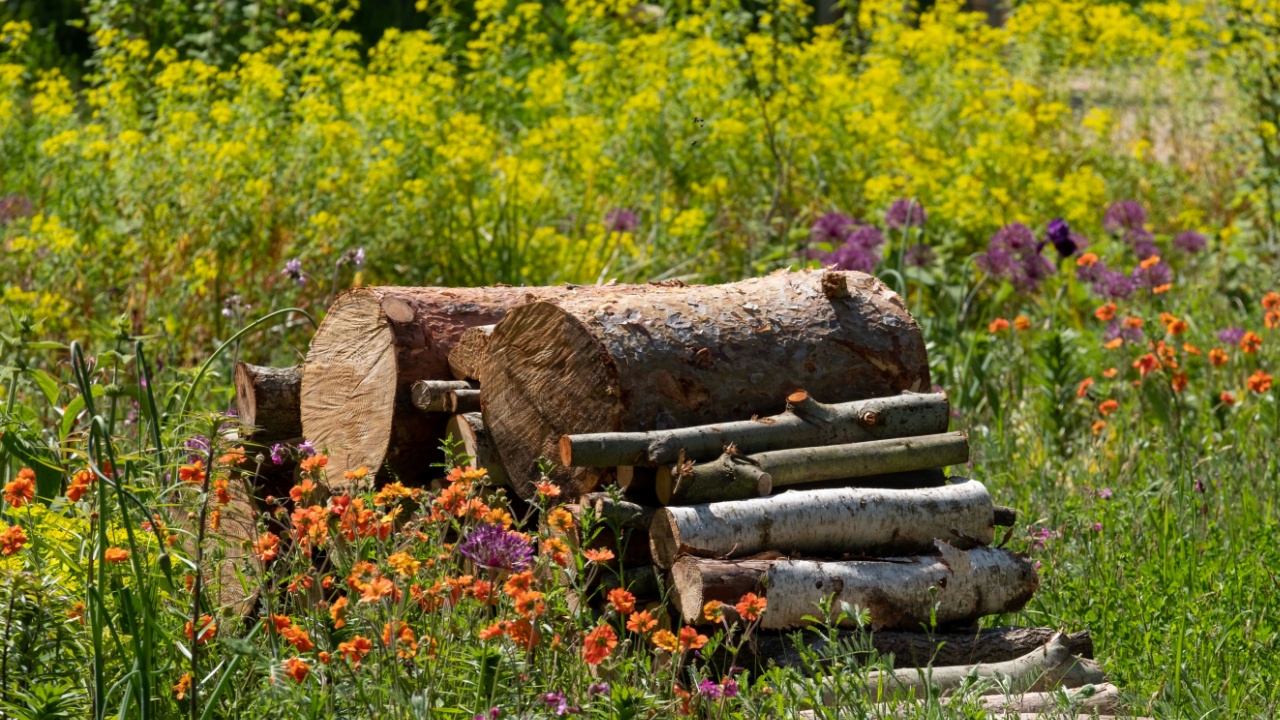 Bug hotel, made of a pile of logs, with colourful flowers growing in the surrounding meadow.