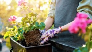 12 Beautiful Fall Planter Ideas That Go Beyond Mums