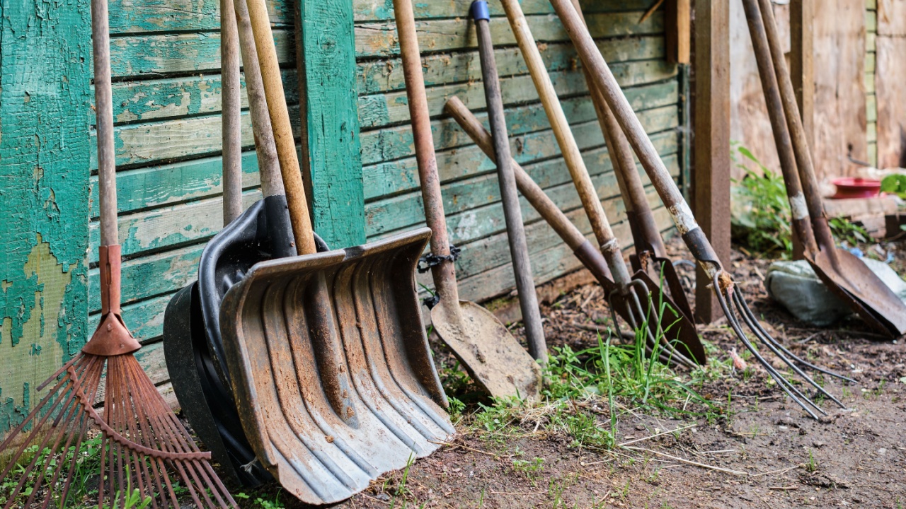 Gardening old tools on a wooden peeled green wall, vegetable garden and farming equipment. Selective focus, hand agricultural tool, work on the ground