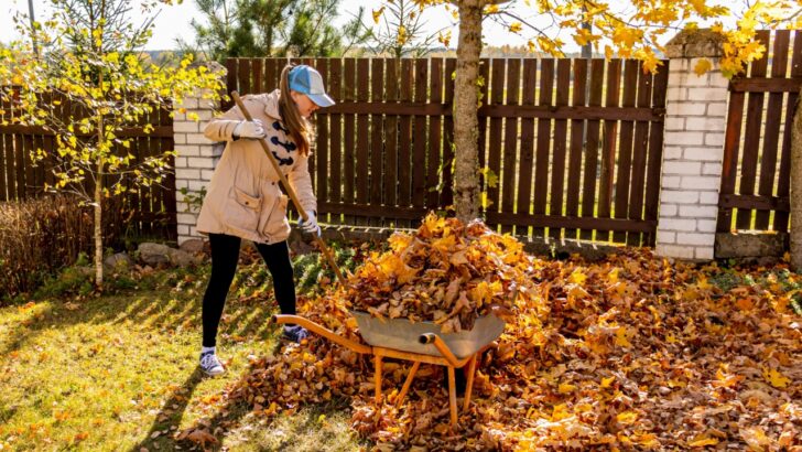 8 Pros and Cons of Fall Cleanup (And Why You Might Skip It)