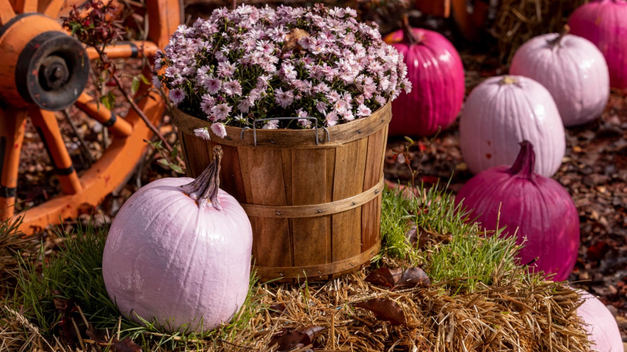 Close up of light pink painted pumpkin fall display in front of bushel basket filled with pink mum sitting on a bale of hay and wago wheel in background