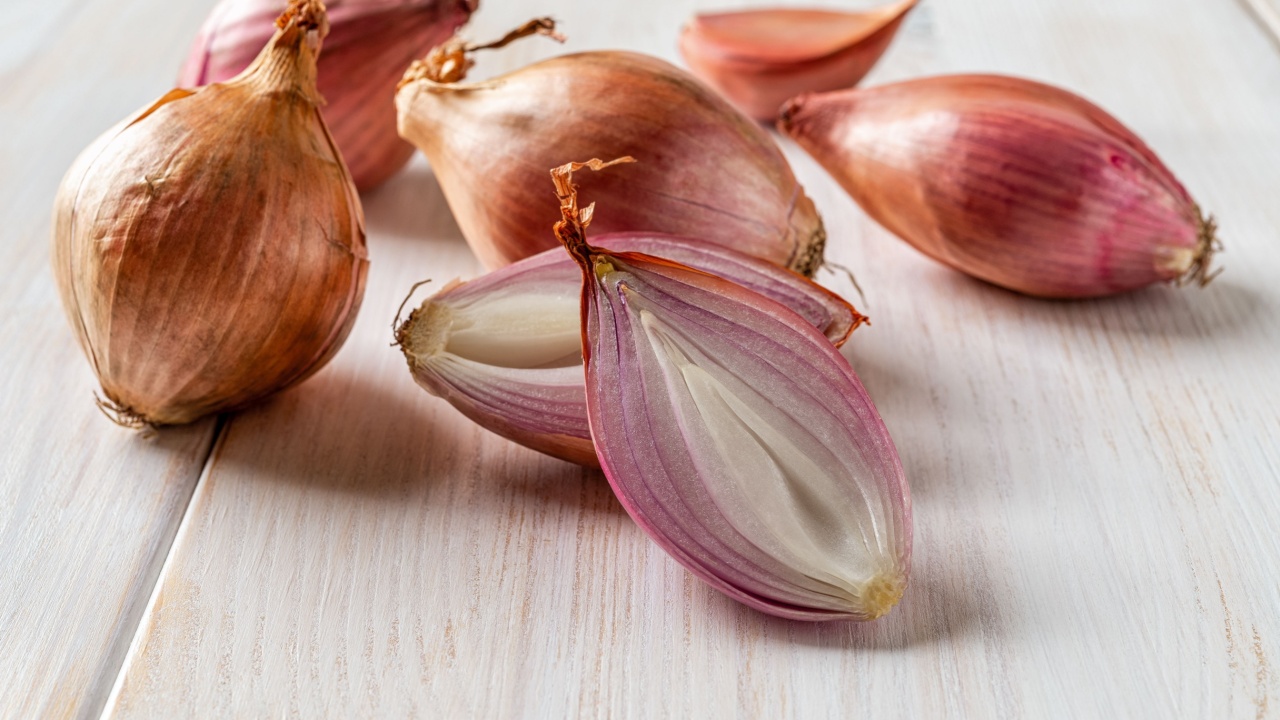 Halved red eschalot and whole bulbs on a white wooden table. Unpeeled long and round shallots close-up. Raw spring onion ready for cooking. Shallot organic vegetable concept. Front view.