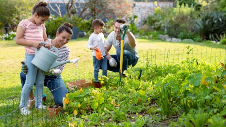 12 Upper Class Home Habits Anyone Can Try for Free