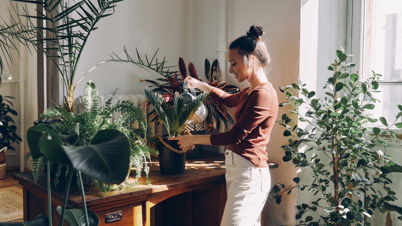 Beautiful young woman watering houseplants and smiling while standing at the domestic room