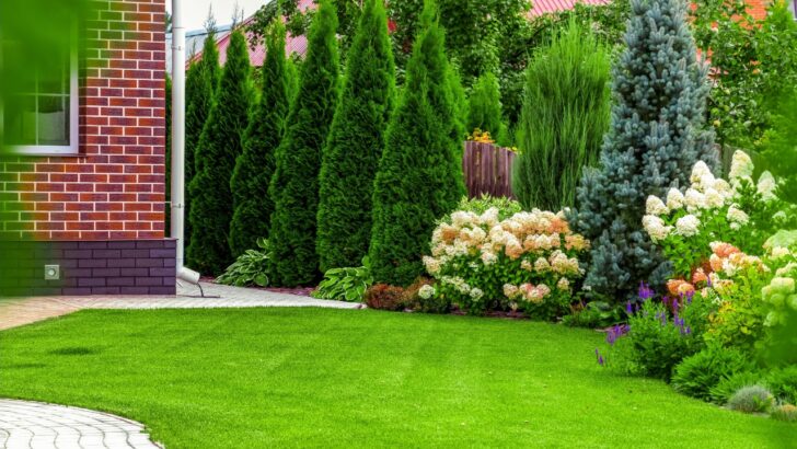 10 Fall Lawn Care Tips to Be Ready for Next Season