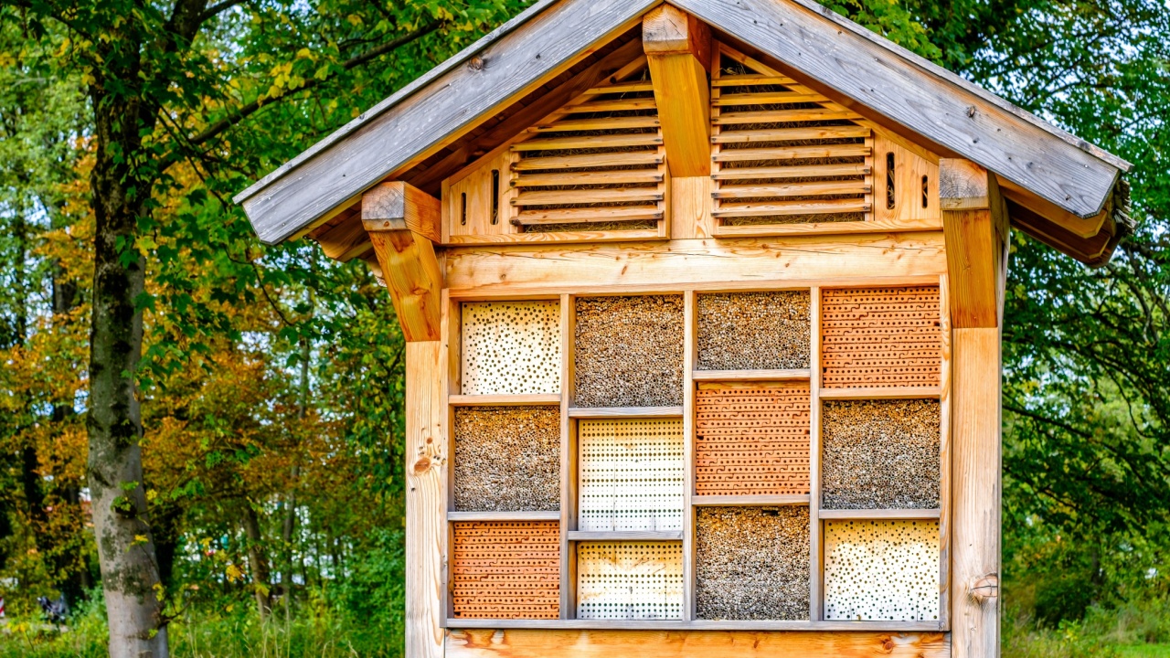 wooden insect house or hotel - photo
