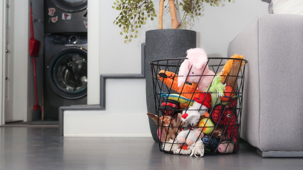 Assortment of dog toys in basket in living room. Variety of many large stuffed plush animals, ropes and chew bone to pamper a medium to large dog. Behavioral enrichment or exercise. Selective focus.