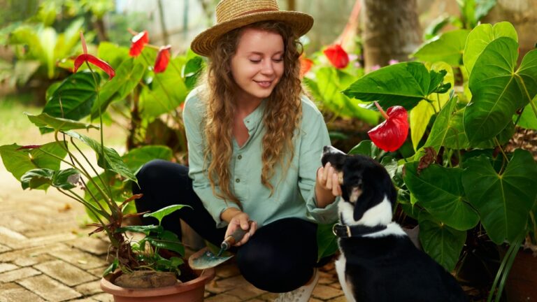Young happy woman gardener wearing straw hat taking care of potted plants with her dog. Junior caucasian female and her pet smiling in garden planting flowers in pots. Gardening and farming concept