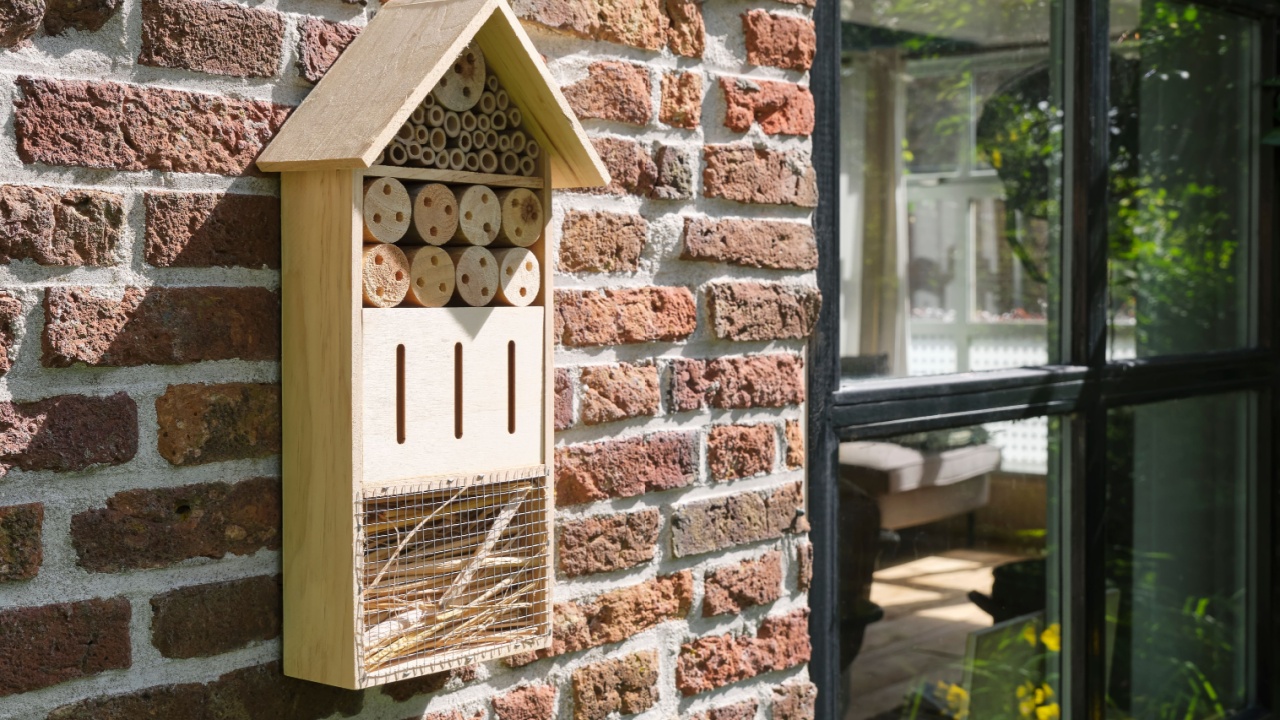 An insect hotel or bee hotel on the facade of a house. An insect hotel is a manmade structure created to provide shelter for insects like bees in a variety of shapes and sizes and materials.