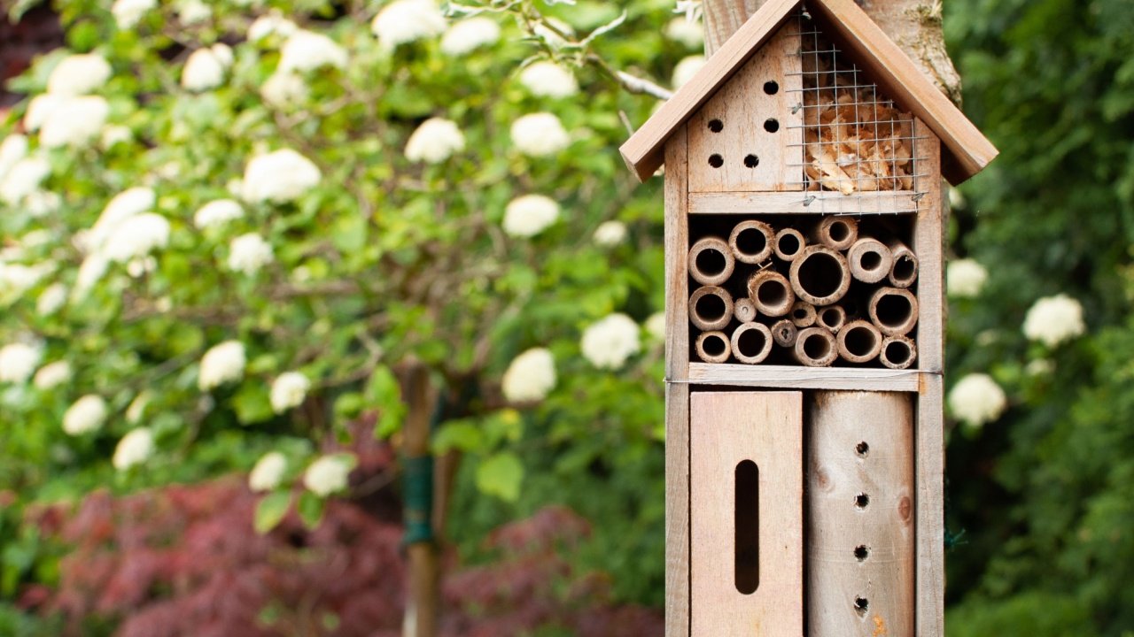 Wooden birdhouse in the garden with white flowers in the background