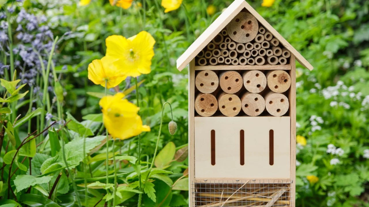 An insect hotel or bee hotel in a summer garden with flowers. An insect hotel is a manmade structure created to provide shelter for insects in a variety of shapes and sizes and materials.