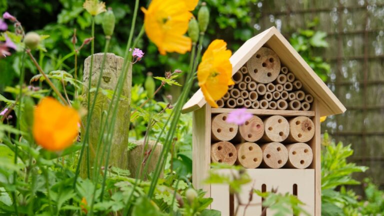 An insect hotel or bee hotel in a summer garden with flowers. An insect hotel is a manmade structure created to provide shelter for insects in a variety of shapes and sizes and materials.
