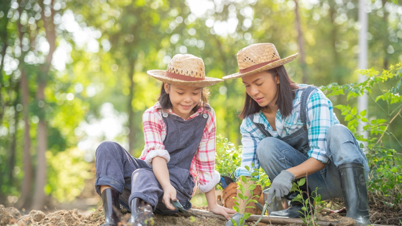 Cute little child girl and mom with seedlings. volunteering, people and ecology concept - volunteers hands planting tree seedling in park. mother and her child girl plant sapling tree. nature and care