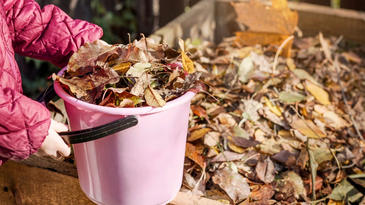 Composting. Autumn clean up. Compost Bin from Fallen Autumn Leaves in Garden. Recycling concept.