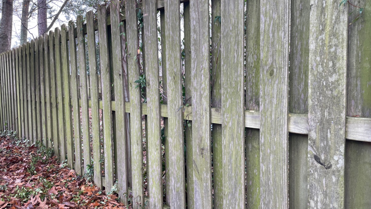 A shadowbox fence with weathered grey wood, trailing off in the distance with brown leaves on the ground.
