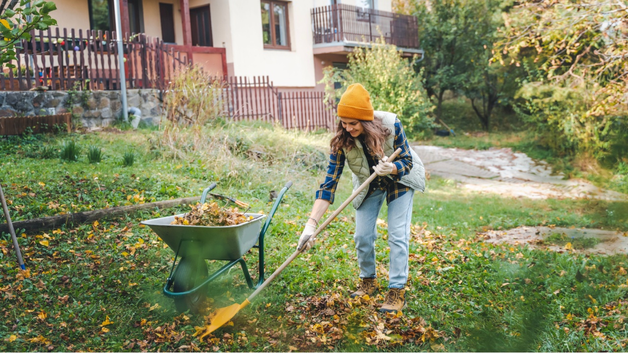 A young woman removes fallen autumn leaves with a rake in the garden of a country house.