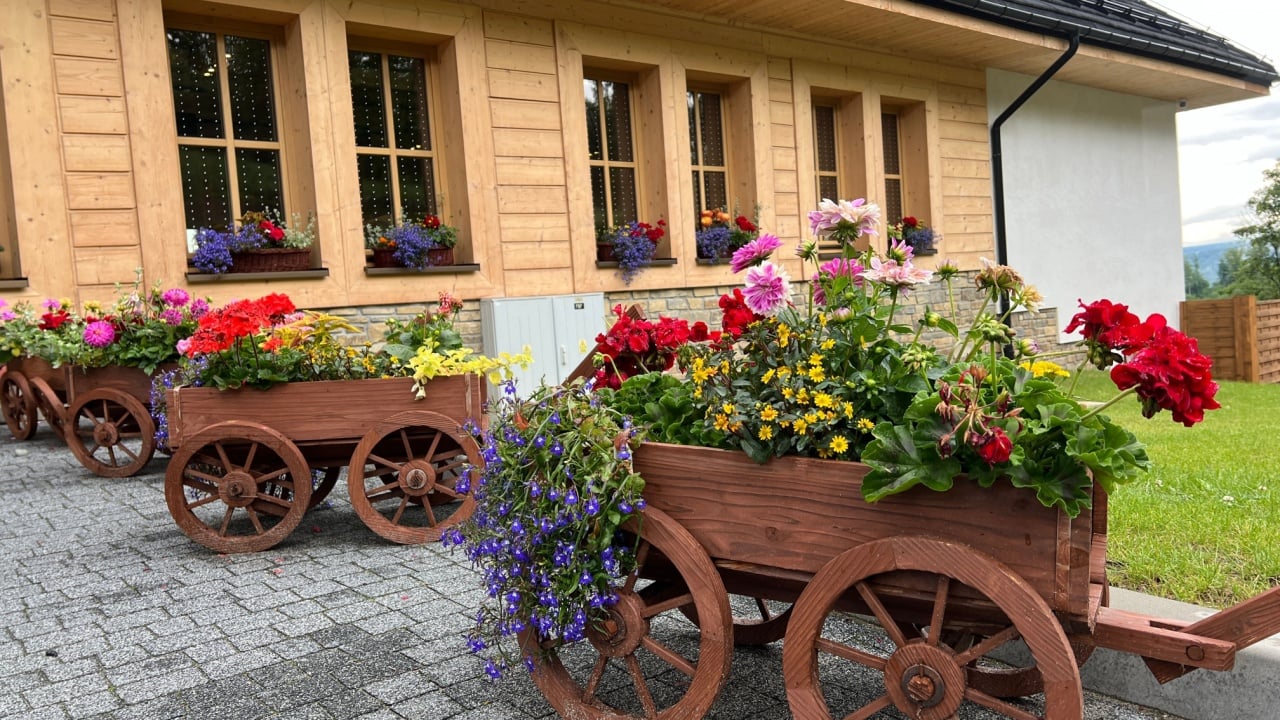 Wooden cart with flowers in a garden in Solina, Poland