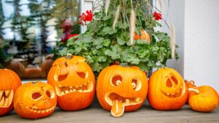 A group of carved pumpkins with different expressions arranged on the floor, perfect for Halloween decorations