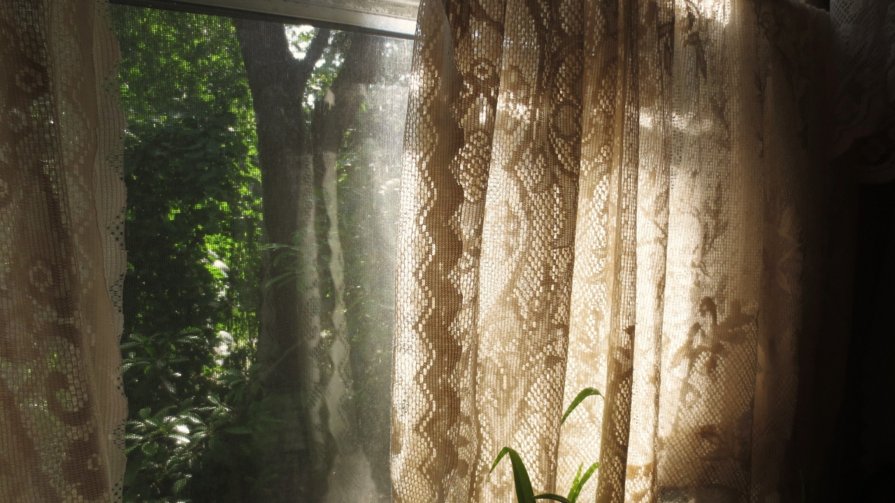 antique lace curtains over sunlit window