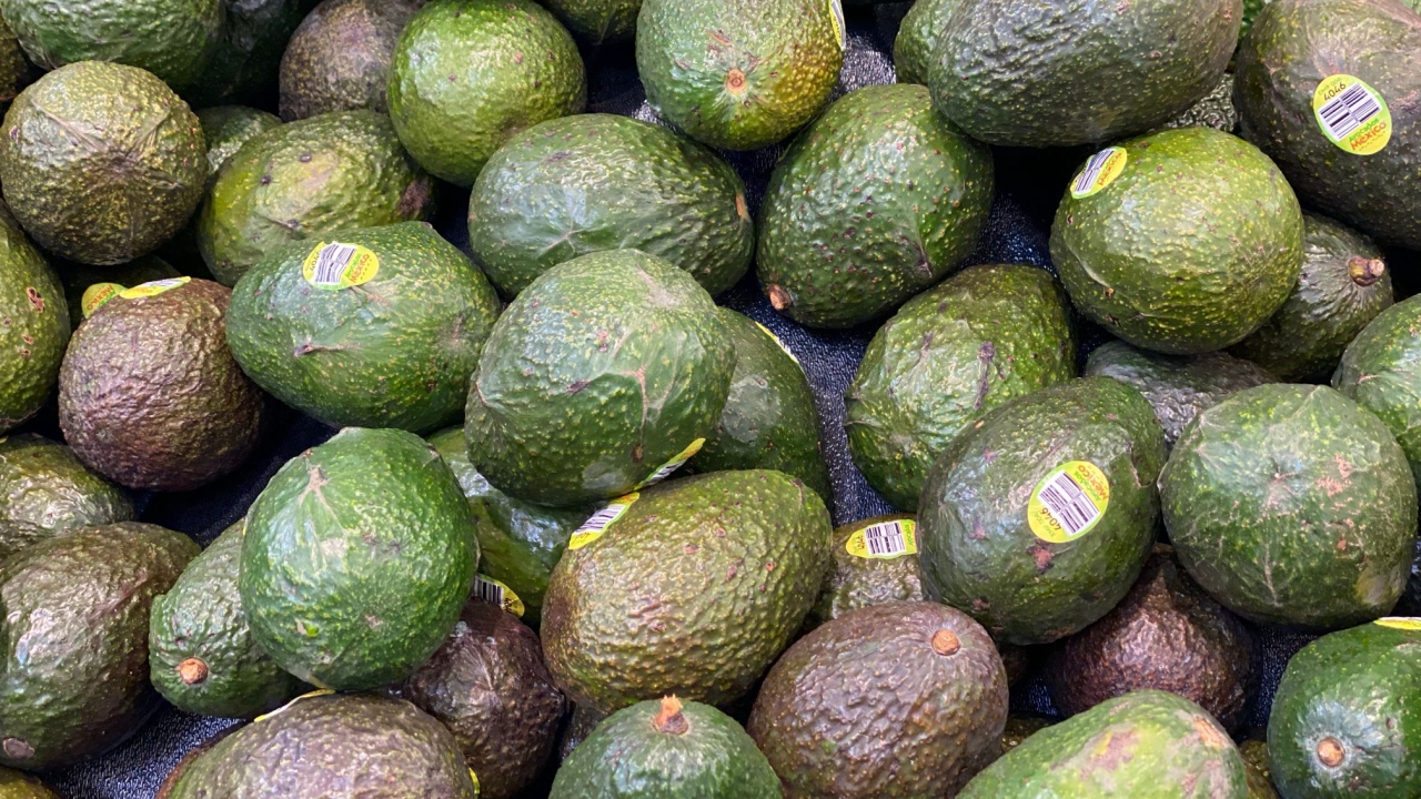 Leavenworth, Kansas USA - February 25, 2025: Fresh avocadoes on display at grocery store. Product of Mexico, imported from Mexico. Close-up.