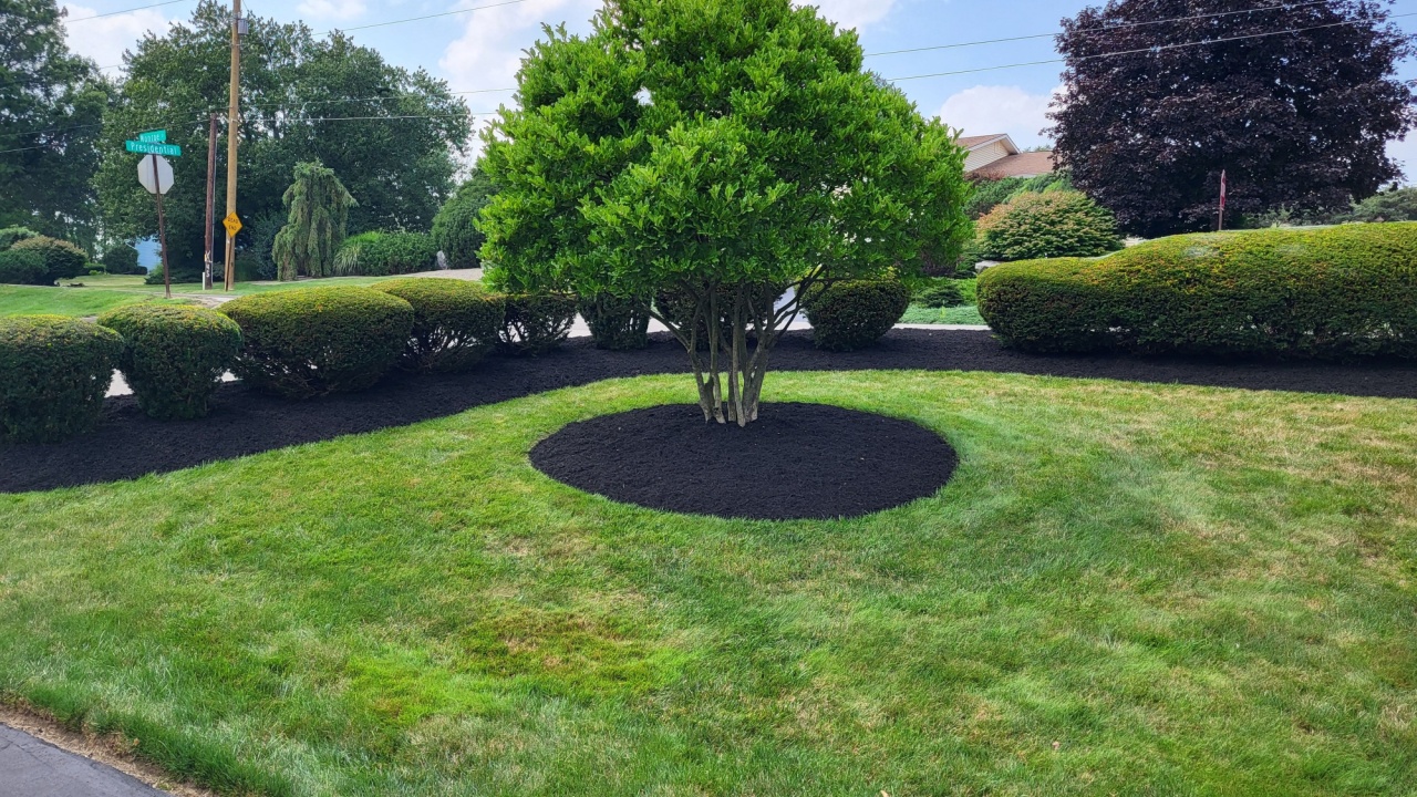 Landscape, mulching, ornamental tree, grass, shrubs
