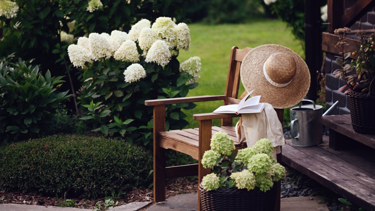 Patio decorated with blooming hydrangeas paniculata and wooden armchair. Summer garden view. Backyard relax area.