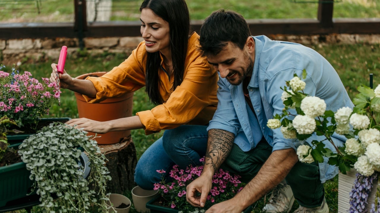 Gardeners nurturing vibrant flowers while planting and watering in a lush garden, enjoying the beauty of nature together