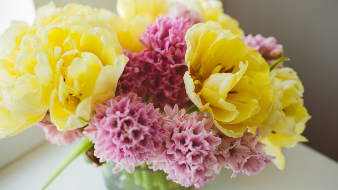 Beautiful yellow peony tulips and pink hyacinth in glass vase on white table