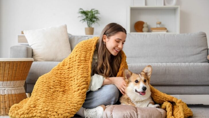 Keep Them Safe: 10 Tips for Keeping Pets Warm This Winter