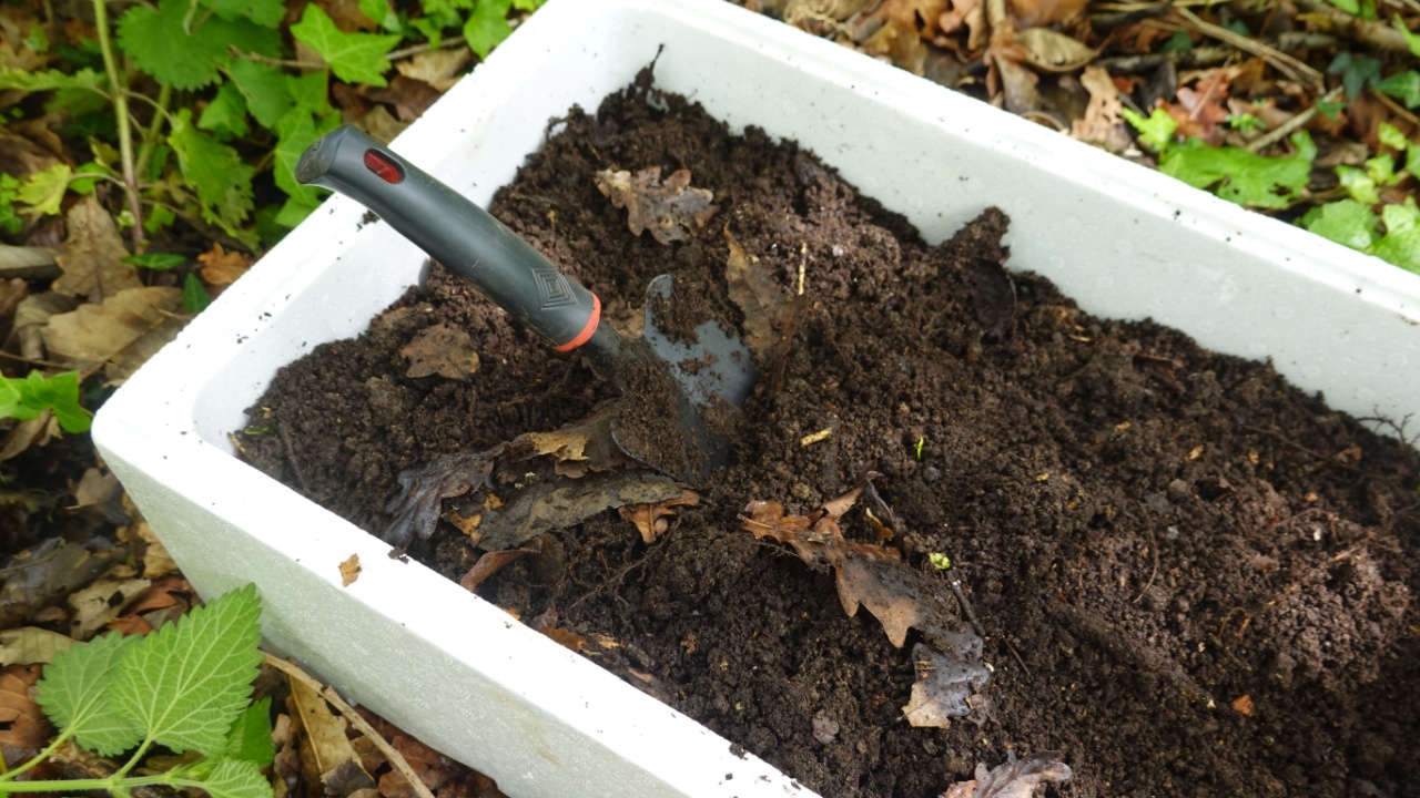 Preparing potting compost with leaf mold inside a polystyrene box while using a small trowel, creating an ideal mix for planting