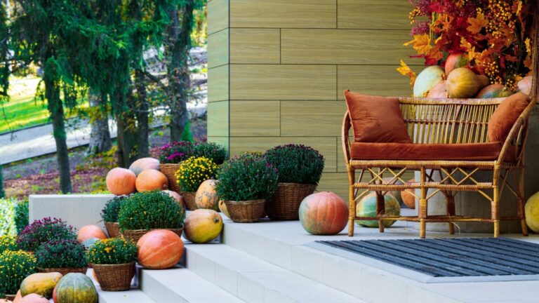 pumpkin decoration restaurant patio space Halloween aesthetic of bright October autumn day park front side of building with cozy atmosphere of orange color