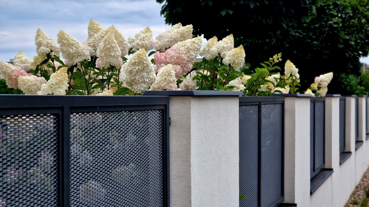 perforated expanded metal sheet metal fencing. Very durable railing made of galvanized railing frame. The strip of ornamental grasses gives the space an infustrial look. semi-transparent as a grater