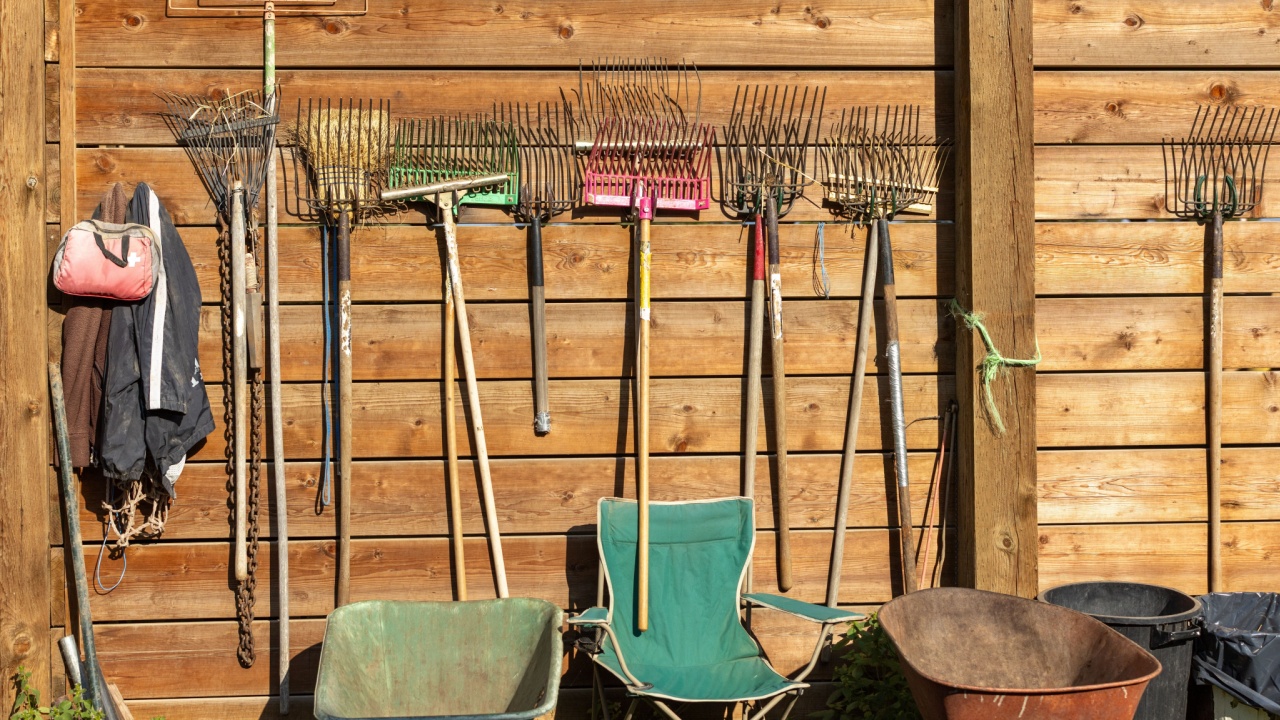 Horse farm garden tools, rakes and wheelbarrow near a wooden fence in the golden sunlight