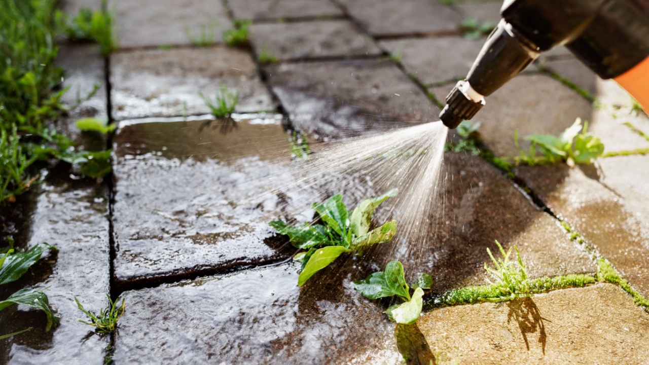 Weeds Killer Spray in Paving Slab Blocks. Spraying Weed Grass in Patio Path. 