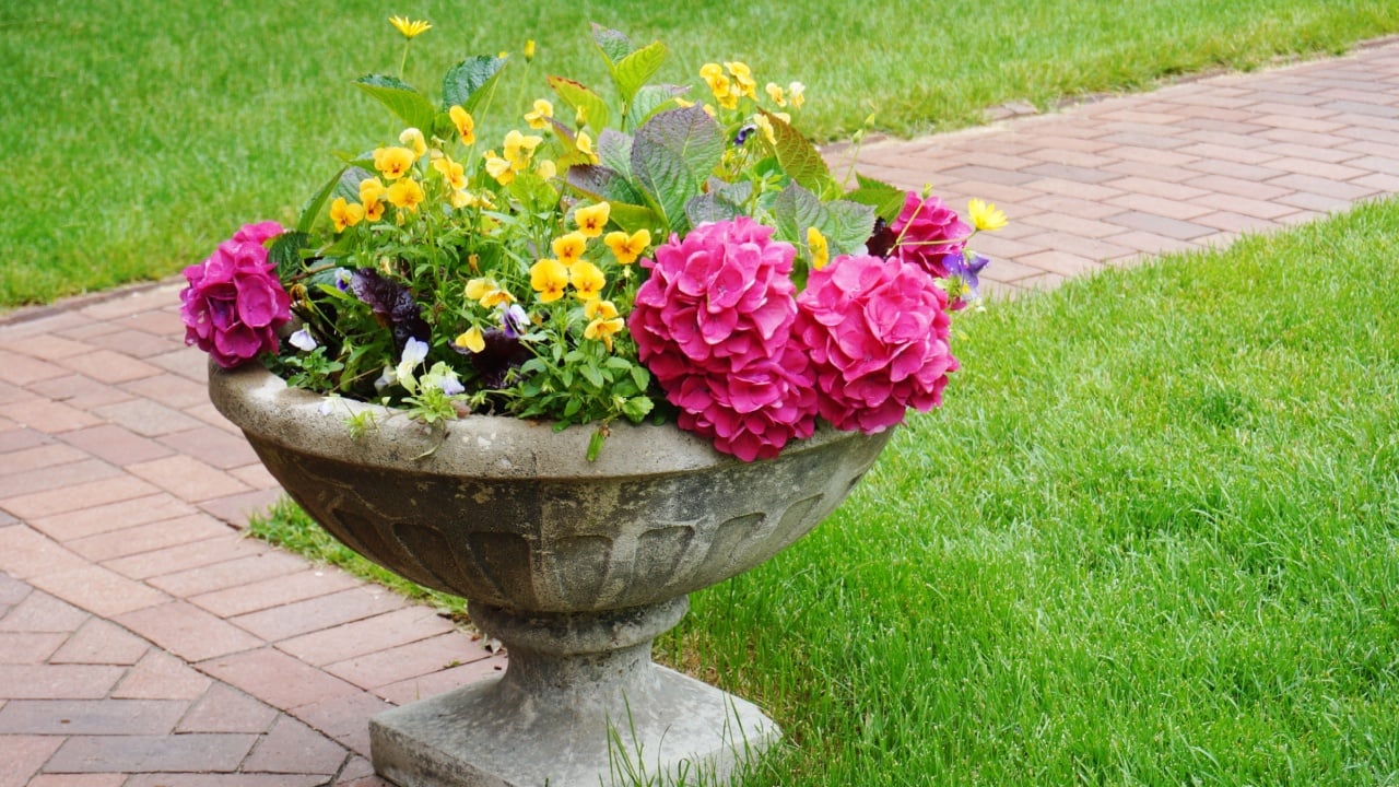 Stone urn container with flowers in a formal garden