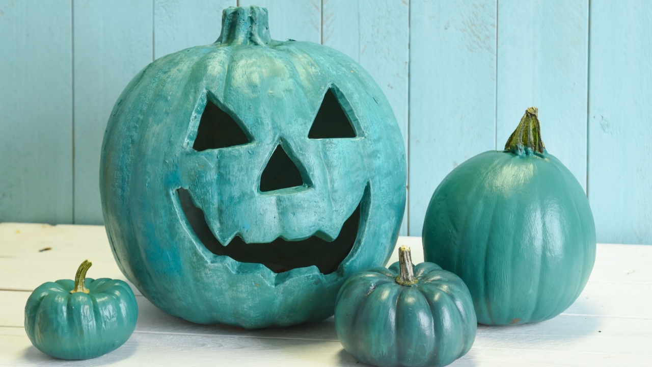 Teal pumpkins in a Halloween still life indicating that both allergy safe non food treats as well as candies are available to trick and treaters.