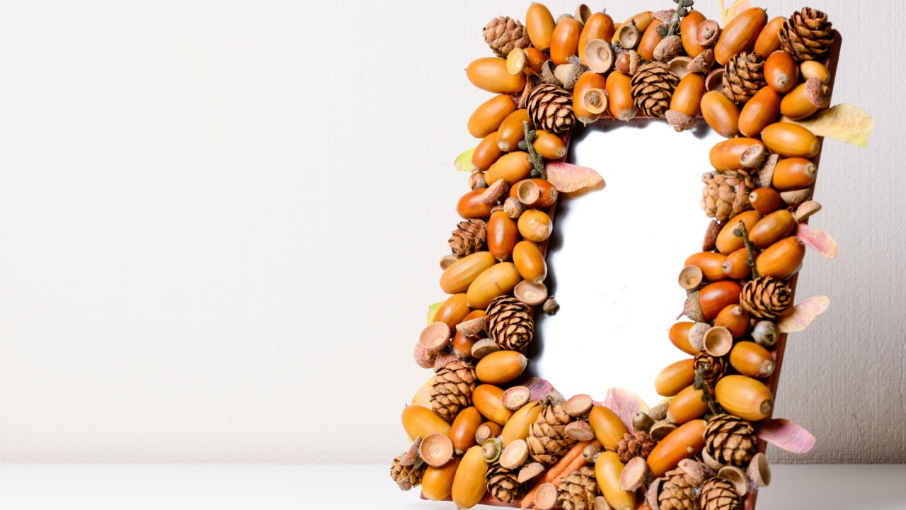 Handmade frame, with acorns, cones and leaves for photo. 