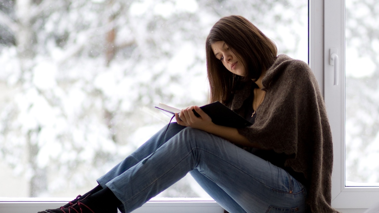 Sleeping cat on winter window