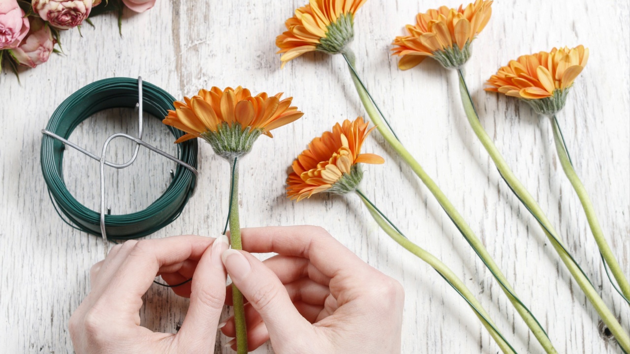 Basic techniques of arranging flowers: wiring and taping gerberas.