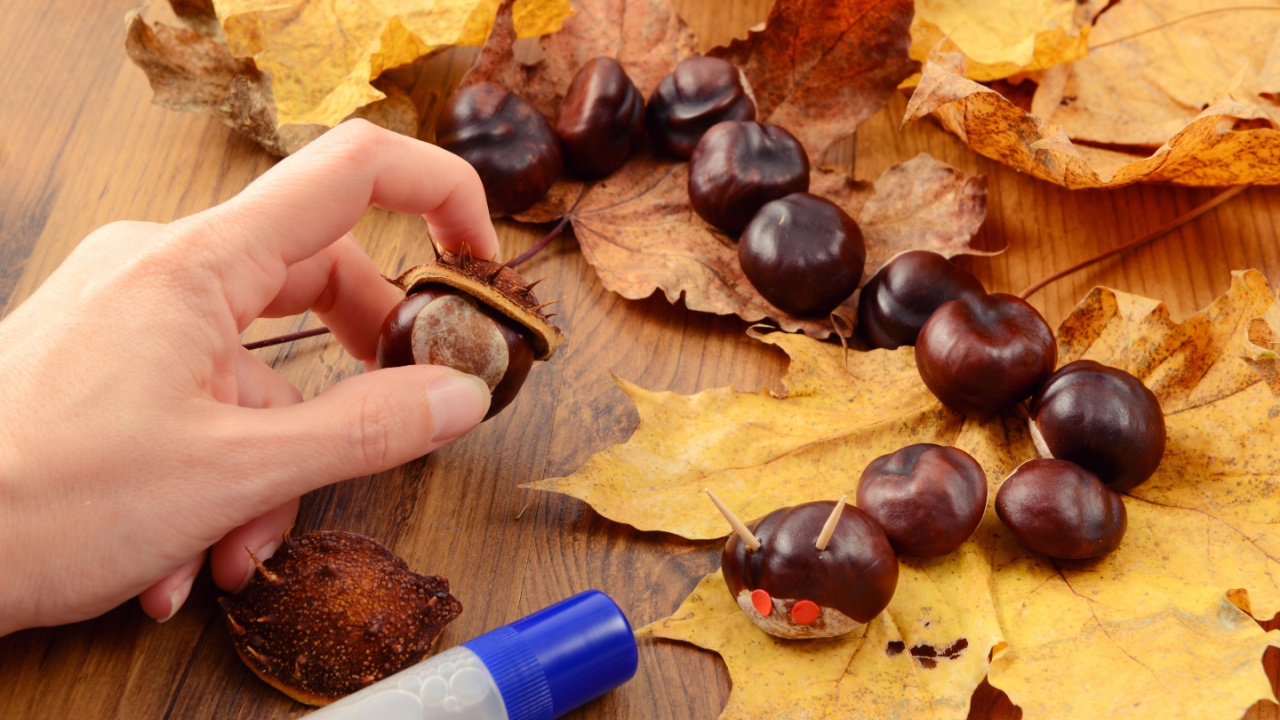 tinker little chestnut caterpillar in autumn. decoration