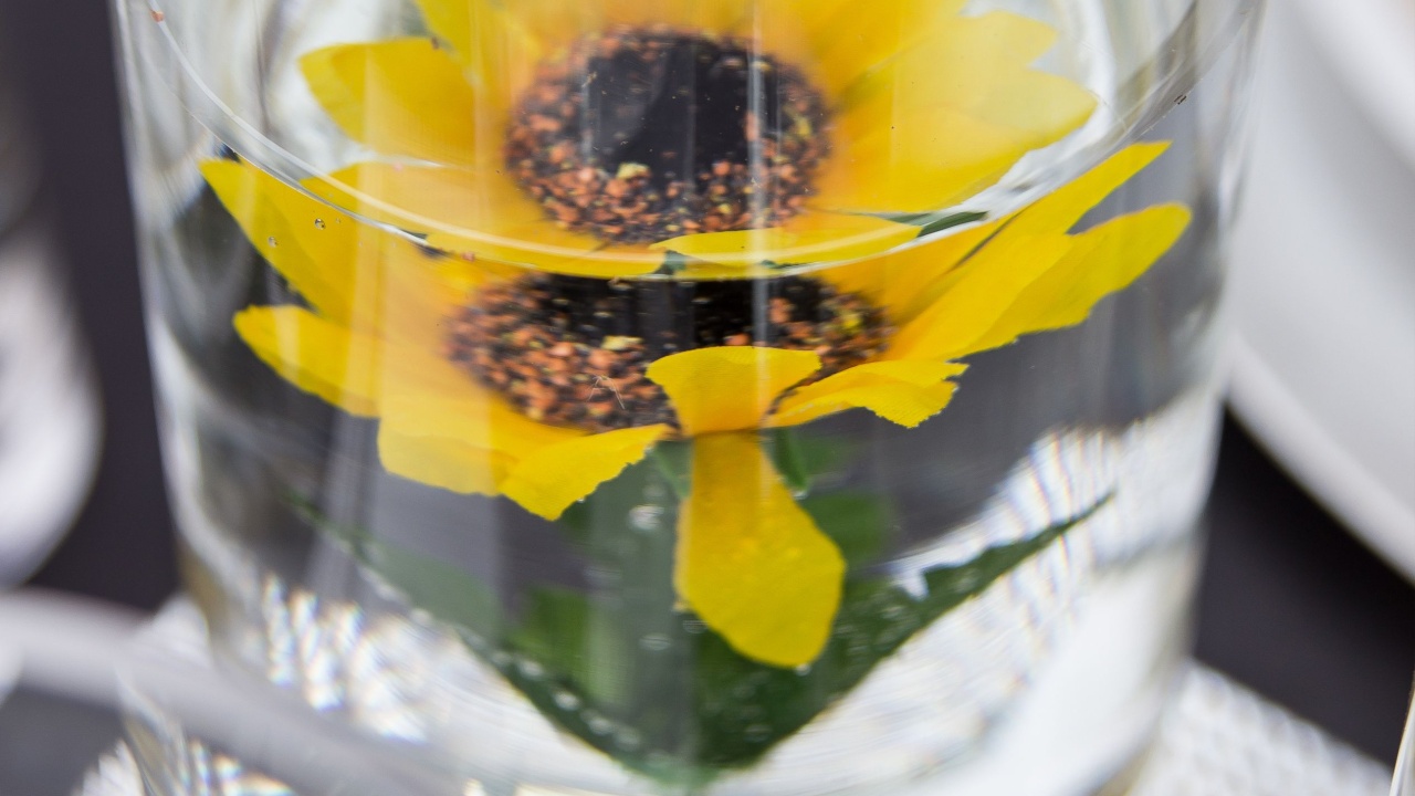 Sunflower submerged under water in glass vase table decoration at wedding or party closeup