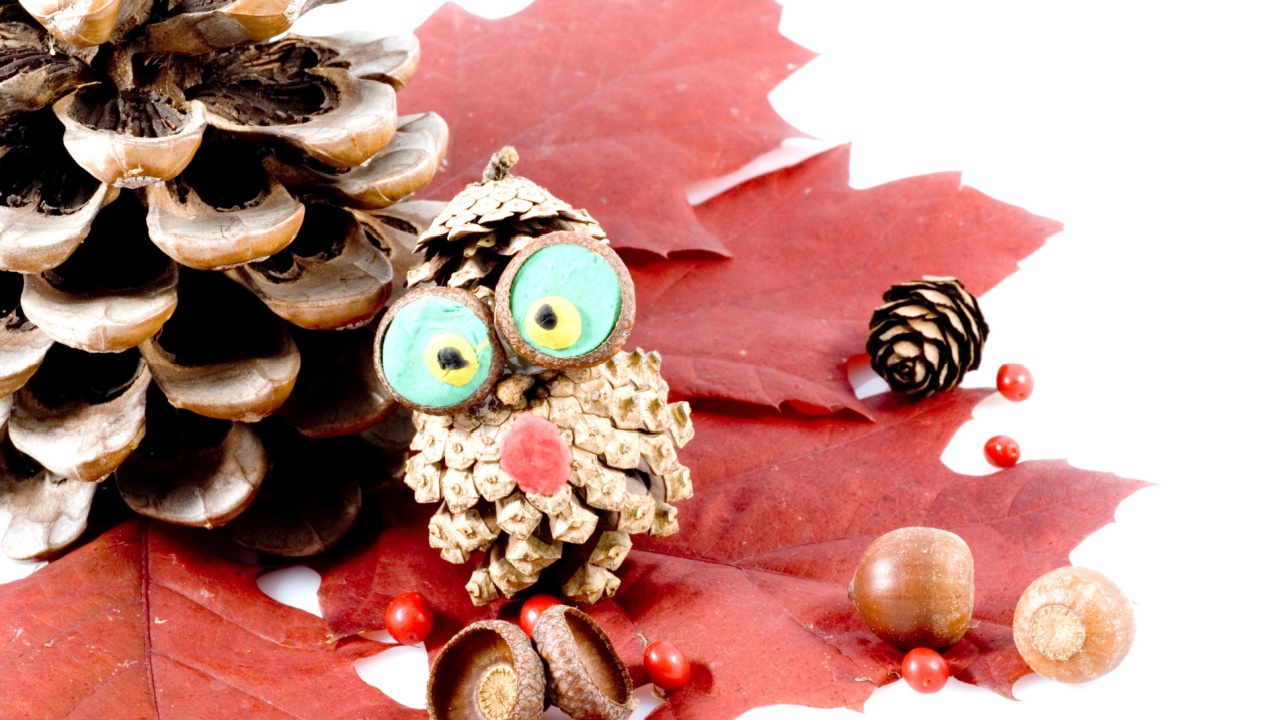 animals from cones