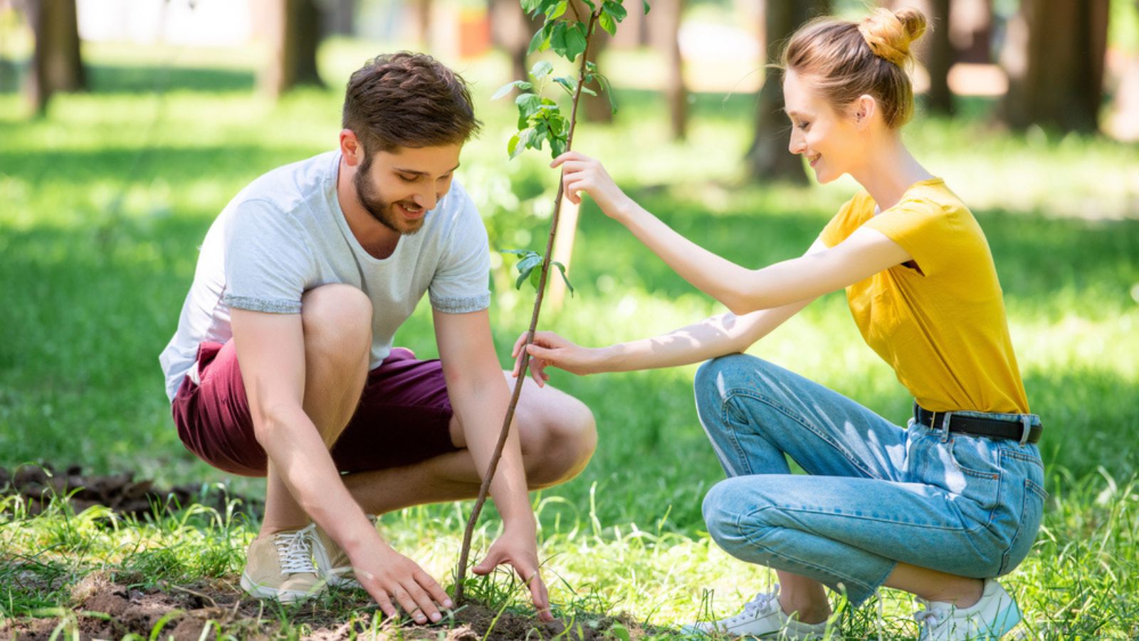 Young-couple-planting-new-tree-in-park